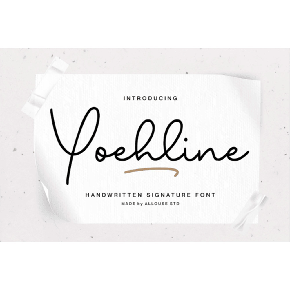 The Perfect Mix Font Bundle 13