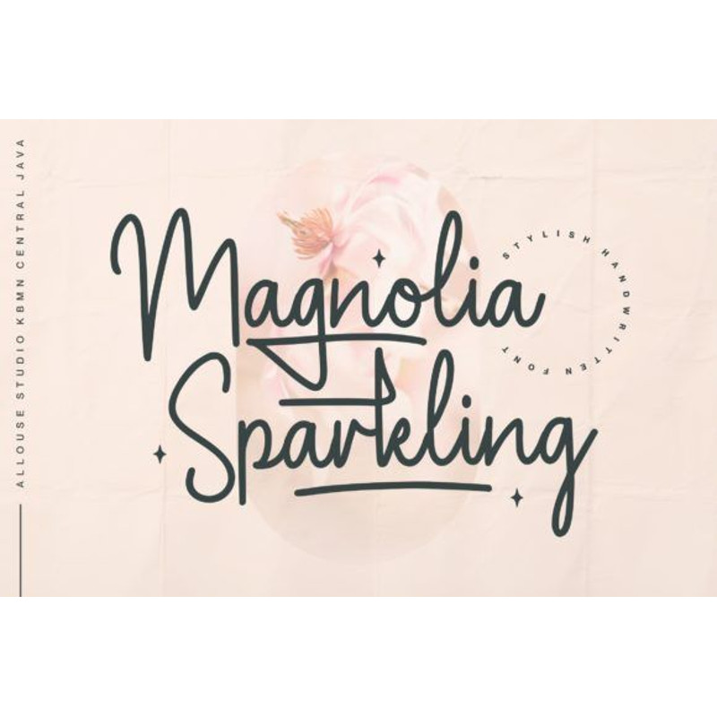 The Perfect Mix Font Bundle 17