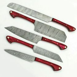 Handmade Forged Damascus Steel Chef Knives Set Kitchen Knives