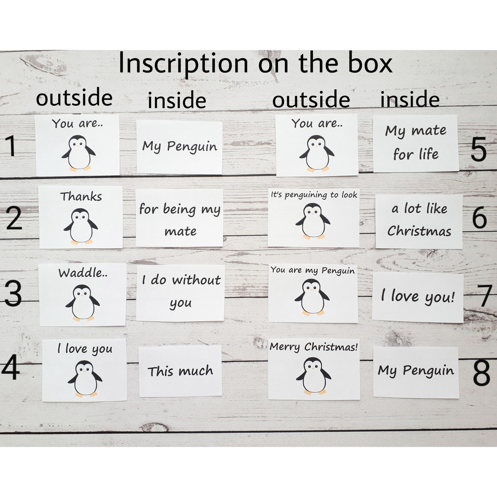 Penguin-plush-pocket-hug-wife-gift-6