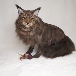 Maine coon . Realistic  toy . stuffed  cat . plush toy . MADE TO ORDER