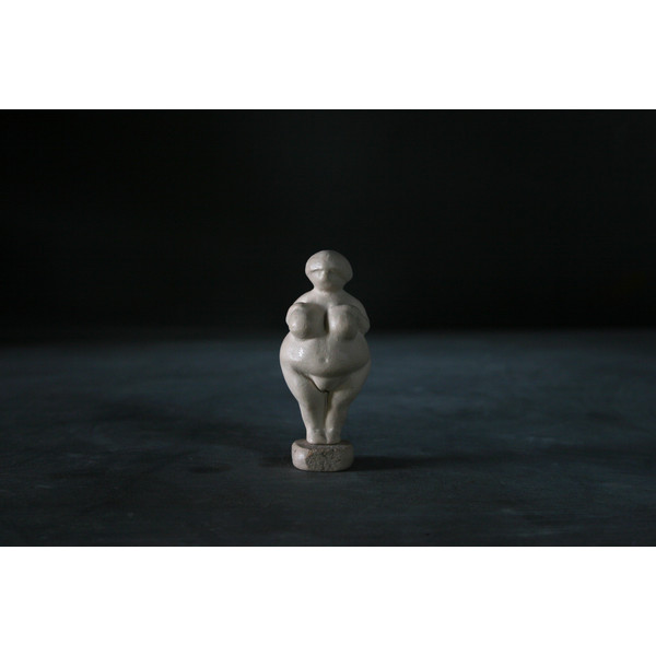 Paleolithic goddess venus figurine