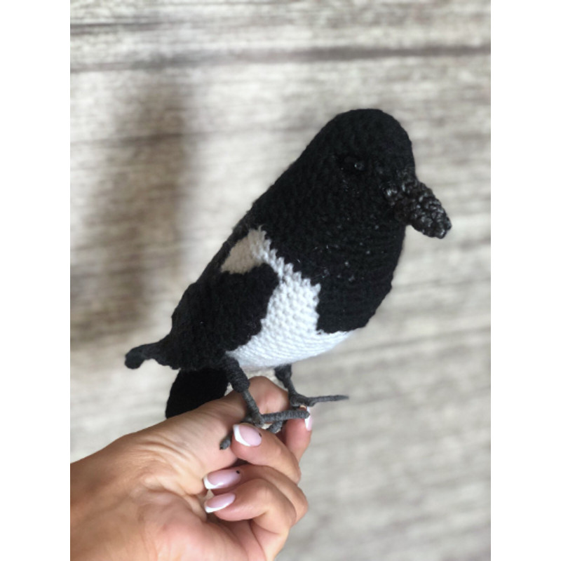 magpie diy 3.png