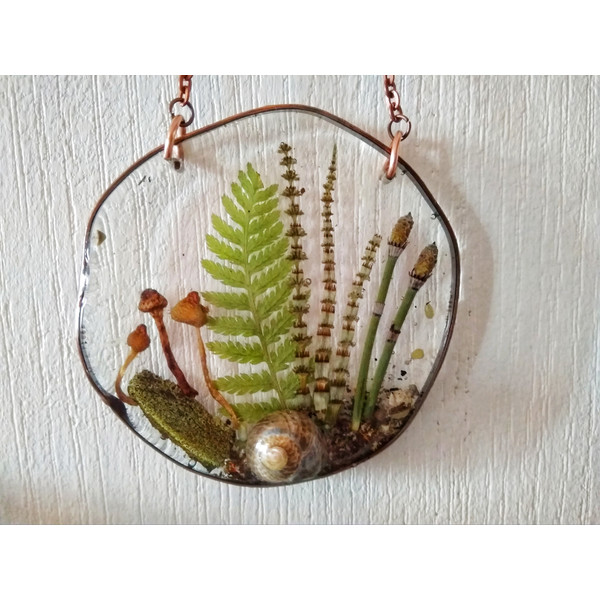 herbarium frame with fern.jpeg