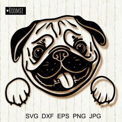 pug dog face svg, cute pug svg, paw puppy pup pet clipart vector cut file cricut silhouette cameo vinyl sublimation #1