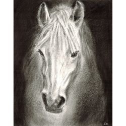 white horse on a black background. original oil painting 14x11''
