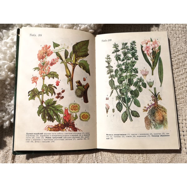 Botanical Guide Book Vintage guide to wildflowers, floral print, botanical illust - Inspire ...