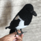 bird diy 9.png