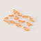 DINO_2022-Jul-08_06-02-50AM-000_CustomizedView35594325495_png.png