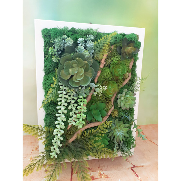 Faux-succulent- moss-framed-wall-art-Style-5.jpg