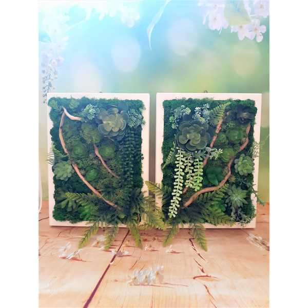 Faux-succulent- moss-framed-wall-art-Style-4.jpg