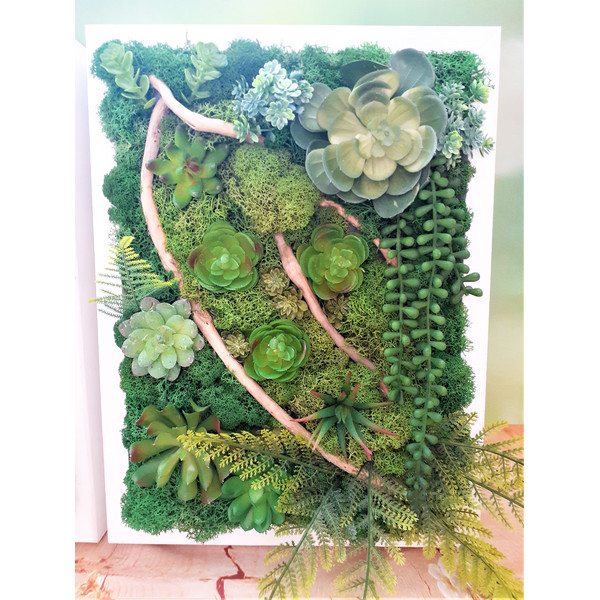 Faux-succulent- moss-framed-wall-art-Style-6.jpg