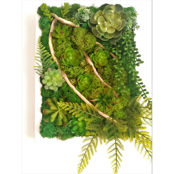 Faux-succulent- moss-framed-wall-art-Style-8.jpg