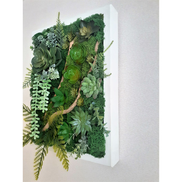 Faux-succulent- moss-framed-wall-art-Style-3.jpg