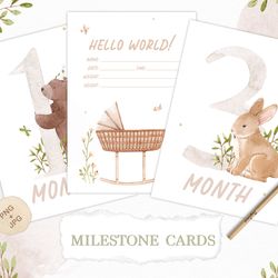 Milestone Baby Cards PNG/JPG