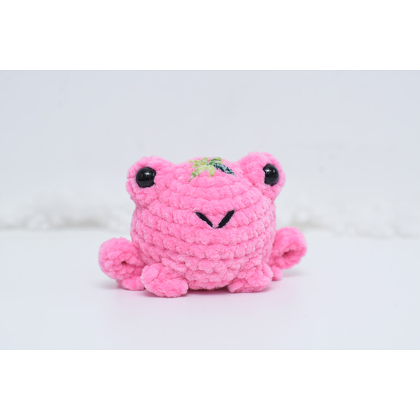 strawberry frog pink frog