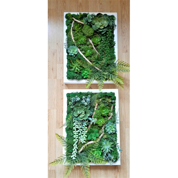 Faux-succulent- moss-framed-wall-art-2.jpg