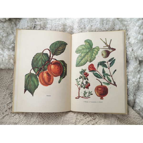 Vintage plants, trees, shrubs handbook, botanical reference - Inspire Uplift