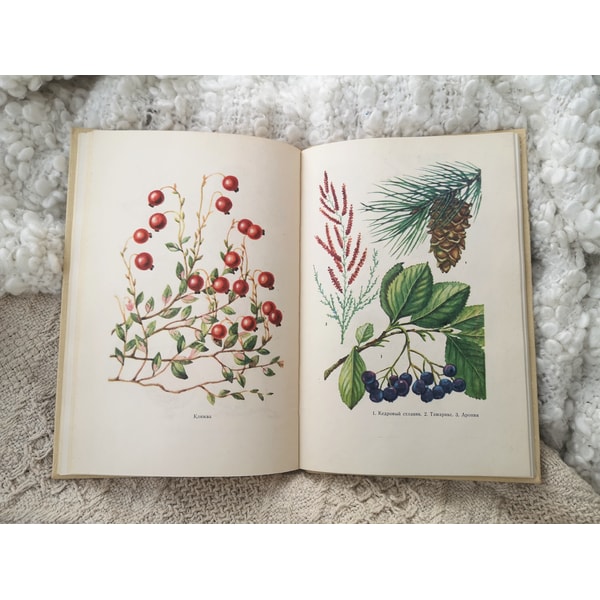 Botanical Guide Book Vintage plants, trees, shrubs handbook, botanical reference - Inspire ...