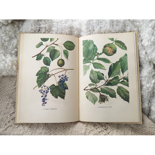 Botanical Guide Book Vintage plants, trees, shrubs handbook, botanical reference - Inspire ...