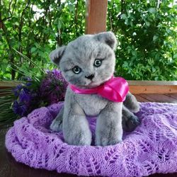 British kitten Baron - plush animal toy