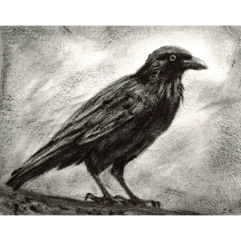 crow 1.jpg