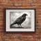 crow 1 frame 3.jpg