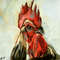 rooster 02.jpg