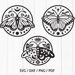 Celestial Butterfly SVG cut files bundle