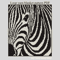 loop-yarn-zebra-blanket.png