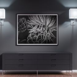 Flower Photography, Printable Digital download, Floral Wall Art, Wall Decoration, Black & White Art, Living Room Print