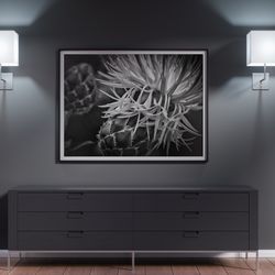 flower photography, printable digital download, floral wall art, wall decoration, black & white art, living room print