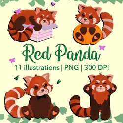 Red Panda Clipart, Red Panda Illustrations, Baby animals clipart