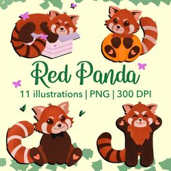 red panda clipart, red panda illustrations, baby animals clipart