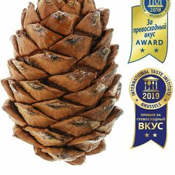 Selected cedar cone with nuts 3 pieces, free shipping