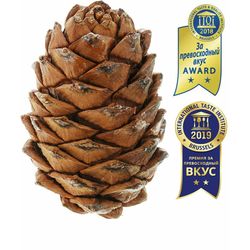 Selected cedar cone with nuts 3 pieces, free shipping