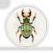 Stag-Beetle01.jpg