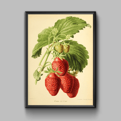 Vintage poster strawberry, digital download
