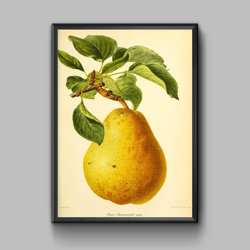 Vintage poster pear, digital download