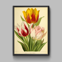 vintage poster bouquet of peonies digital download