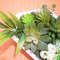 Framed-Succulents-Flowers-Wall-Art-5.jpg