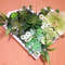 Framed-Succulents-Flowers-Wall-Art-6.jpg