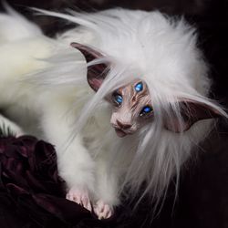 Fantasy White cat toy with blue eyes to ORDER. Fur cat art toy. Cat spirit toy. OOAK doll kitten. Author's toy.