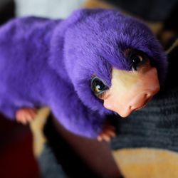 Purple platypus toy to ORDER. OOAK Harry Potter inspired doll. Fantastic Beasts. Art doll for collection. Author's toy.