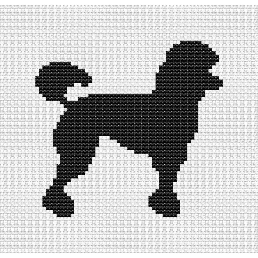 poodle2.jpg