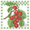 cherry.jpg