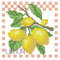 lemon.jpg