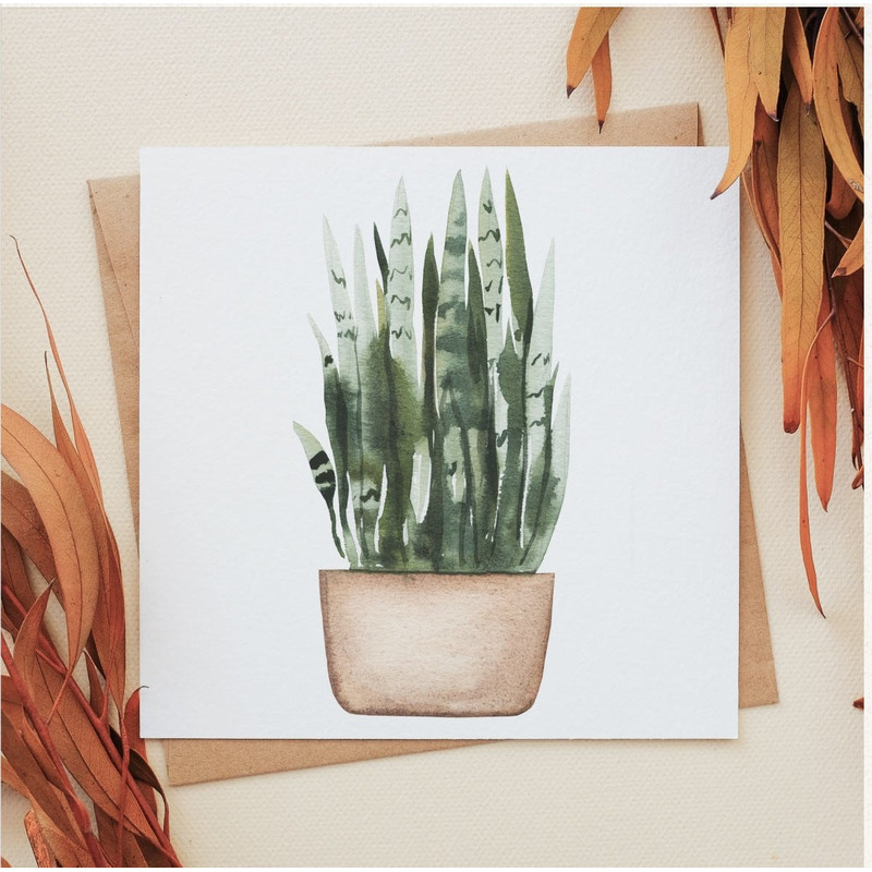 Procreate Artwork Mockups (6).jpg