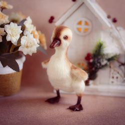 handmade duck, collection bird, interior sculpture, handmade bird