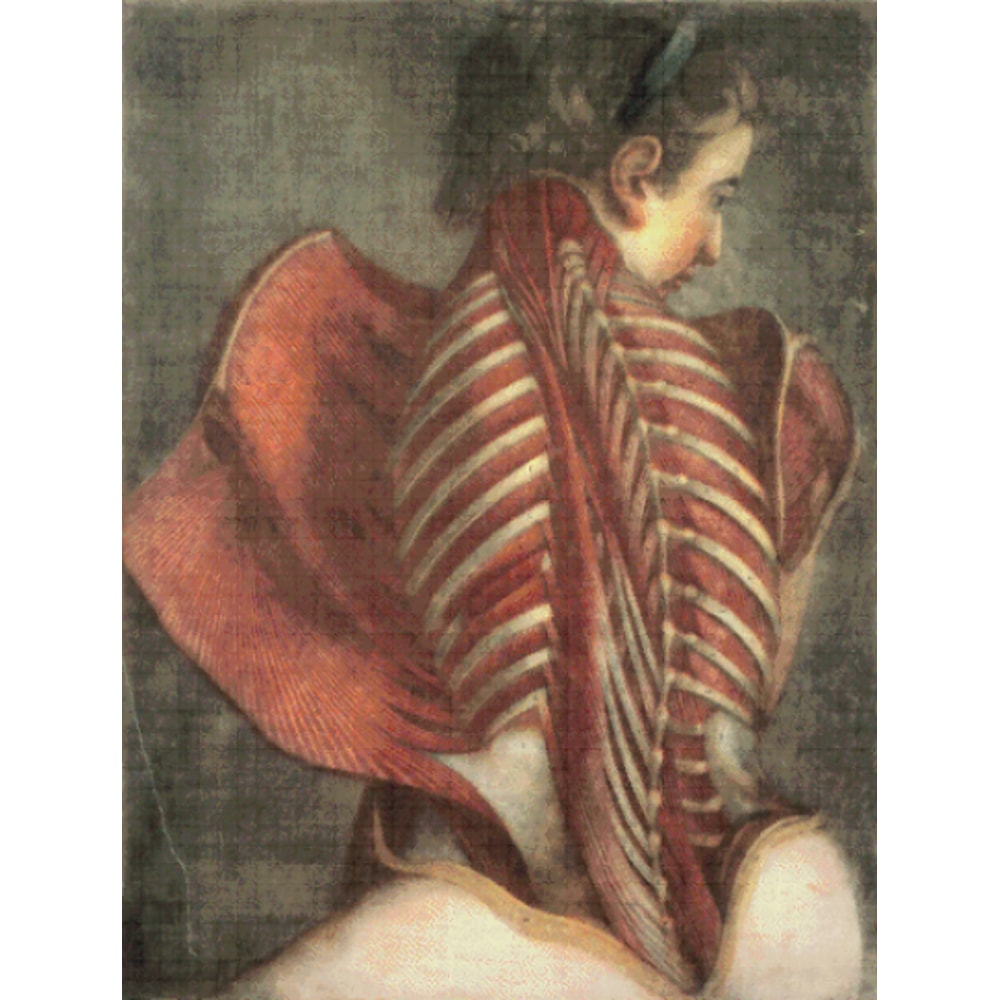 Без названия (4).png